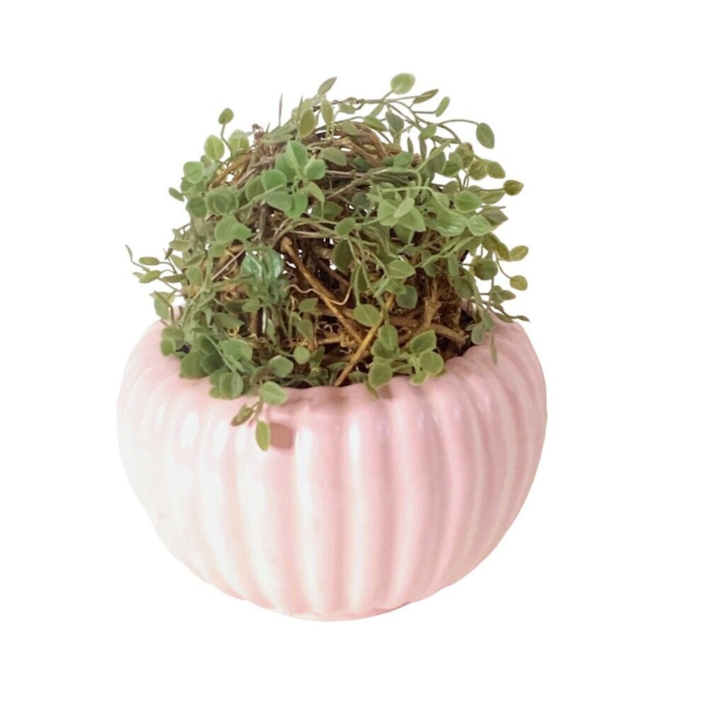 Bauer Pottery Pink Planter Bowl 3.75" x 5.5" Ridged Pumpkin Tracy Irwin '50's De